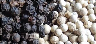 Kamu mungkin pernah melihat makanan yang bumbu utamanya adalah lada hitam, seperti sapi lada hitam. Gambar Lada Hitam