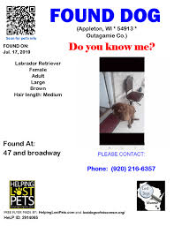 Labrador retriever puppies for sale in green bay, wi labrador retriever ranked top dog according to the registration statistics compiled by the american kennel club, the labrador retriever is the most popular pure bred dog in the greater milwaukee area. Uzivatel Lostdogsofwisconsin Na Twitteru Found Dog Unknown 07 17 2019 Outagamie Co Appleton 47 Broadway Wi 54913 Unknown Female Labrador Retriever Brown Adult Large Hair Length Is Medium Think Dog May Of