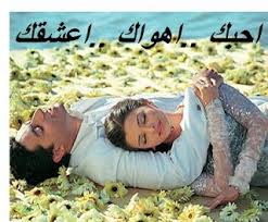 احبك اهواك اعشقك Meilleurs Poeme D Amour Arabe اجمل قصائد الحب Poeme Damour Meilleurs Poemes Sms Amour