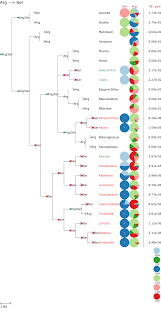 Coretracker By Udem Lbit