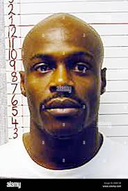 Are barbara stanley hi-res stock photography and images