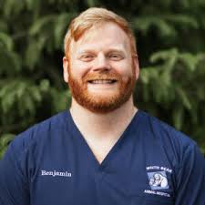 Professional Support Staff