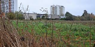 Um ein noch genaueres ergebnis zu erhalten, kannst du die. Neustadt Am Rubenberge Konzept Zum Sozialen Wohnungsbau Ist In Arbeit