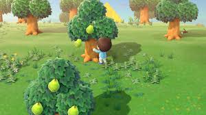 Animal Crossing New Horizons How To Use The Fruit Animal Crossing Fruit Animals Service Animal