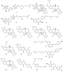 Image result for Millettia usaramensis