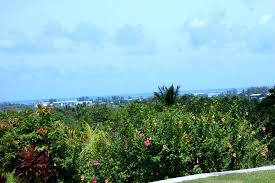 Berikut foto sketsa pemandangan alam dan hewan. Pemandangan Indah View Picture Of Pemandangan Indah Guest House Look Out Point Langkawi Tripadvisor