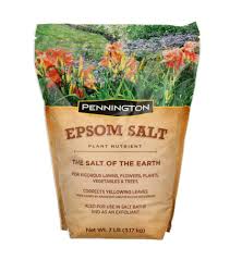 Corn cobs will need to be resoaked every two weeks to remain active. Pennington Epsom Salt 7 Lb Wilco Farm Stores