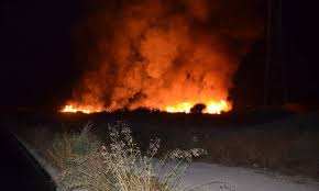 Πυρκαγιά σε δασική έκταση στην περιοχή μάλτα του δήμου οιχαλίας μεσσηνίας, εκδηλώθηκε λίγο πριν από τις 3.30 σήμερα το μεσημέρι. Megalh Fwtia 3espase Sth Messhnia Aftodioikisi Gr