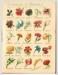 Flower Language Language Of Flowers Victorian Flowers Flower Meanings