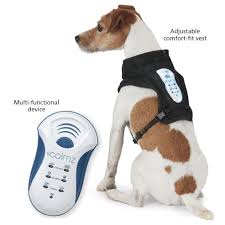 10 Best Calming Aids For Pets Pethub