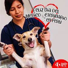 Maybe you would like to learn more about one of these? Healthy Pets Feliz Dia Del Medico Facebook