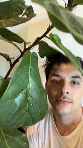 How my Saturday went ! Bryce Walsh Jonathan Venedam Khromov Mykyta & sergi