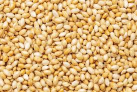 Image result for Sesamum