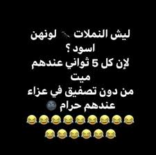 Pin By Ae On Memes Fun Quotes Funny Funny Study Quotes Arabic Funny