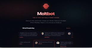 一只小龍蝦引爆科技圈，人類準備好「掀桌子」了嗎？