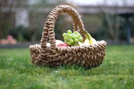 Raus Ins Grune Picknick Mit Der Familie In Dresden
