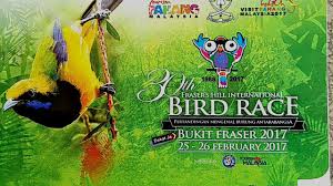 Frasers Hill Bird Race 2017 Youtube