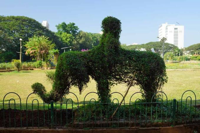 Appreciate The Floral Blooms At The Hanging Garden Of Mumbai - Treebo Blog