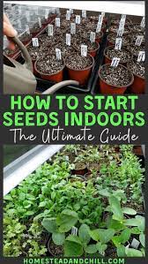 Seed Starting 101 Everything You Need To Know To Sow Beyond Homestead And Chill In 2020 Organic Gardening Tips Gardening For Beginners Starting A Garden