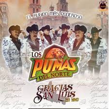 Prietita de pelo chino (el rugido mas poderoso), el corrido de mauro recendiz: Stream La Merma Del Traficante En Vivo By Los Pumas Del Norte Listen Online For Free On Soundcloud