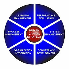Talent Management The Tyler Group