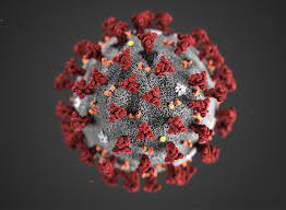 Because it is a new virus, scientists are learning more each day. Aktuelle Informationen Zur Corona Pandemie Lsvbw
