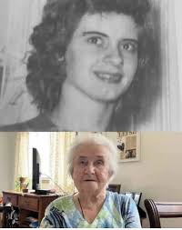 A Majestic Maine Coon