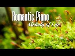 Romantic Piano Nhạc Piano Khong Lời Lang Mạn Hay Nhất Thế Giới Giai điệu Cuộc Sống Youtube Nhạc Piano Piano Nocturne