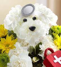 When it comes to choosing the best get well flowers, different considerations can help you, including the personality and preferences of the patient, colors, etc. 44 Get Well Flowers Gifts Ideas Get Well Flowers Flower Arrangements Get Well Gifts