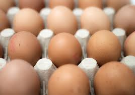 Treehugger / julie bang maybe you've been raising laying hens for your family and wanted to expand, or. Are Organic Eggs Healthier Than Regular Eggs