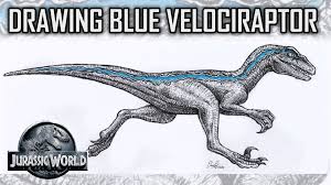 Drawing Skin Details For Blue The Velociraptor From Jurassic World In Fine Liner Marker Time Lapse Youtube Blue Drawings Drawings Velociraptor Drawing
