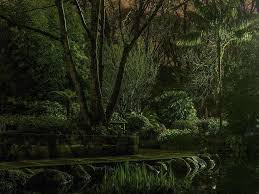 Bedroom eyes fitzroy gardens images photos. Picture Of Fitzroy Gardens At Night In Melbourne Australia Amazing Nature Photography Photo Night Gardens