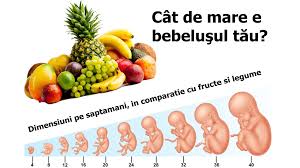 Daca intampinati probleme in accesarea noului site va rugam sa nu ezitati sa ne contactati pentru a putea. Cat De Mare E Bebelusul Tau Dimensiuni Pe Saptamani In Comparatie Cu Fructe Si Legume Revista Baby Pentru PÄƒrinti È™i Copii