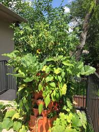 Maybe you would like to learn more about one of these? Where Do I Buy Red Wiggler Worms The Garden Tower 2