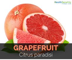 Also called chinese grapefruit, shaddock, pumelo, pommelo, and pompelmous.the pomelo is an exotic large citrus fruit that is an ancient ancestor of the common grapefruit. Grapefruit Facts Health Benefits And Nutritional Value