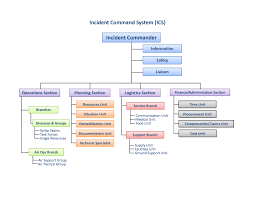 78 Proper Ics Chart Template