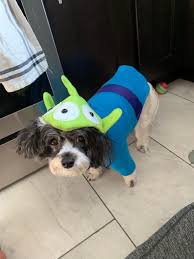 Alien Dog Costume Toy Story Alien Dog Outfit Halloween Dog Etsy Toy Story Dog Costume Alien Dog Costume Toy Story Costumes