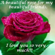 We did not find results for: A Beautiful Rose For My Beautiful Friends I Love You So Very Much Beautiful Roses Beautiful Friend Rose