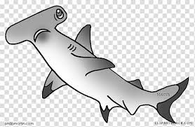 Great White Shark Hammerhead Shark Shortfin Mako Shark Great Hammerhead Bull Shark Smalleye Hammerhead Animal White Sharks Transparent Background Png Clipart Hiclipart Hammerhead shark cartoon 1 of 14. great white shark hammerhead shark