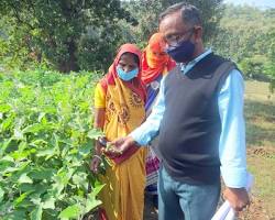 Image of Field visit at Anand Agricultural University