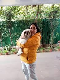 Where did animal shelters evolve from? Pet Grooming Service At Home In Mumbai Dog Cat Grooming