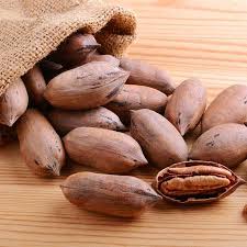 Mahan pecan trees are a late season pecan producer that has a very soft shell. Pawnee Pecan Trees For Sale Fastgrowingtrees Com