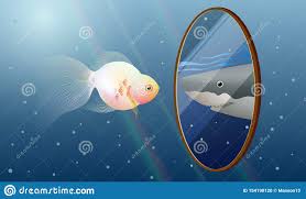 Reflection Self Stock Illustrations – 1,519 Reflection Self Stock  Illustrations, Vectors & Clipart - Dreamstime