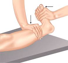 Image result for Ankle External Rotation Test