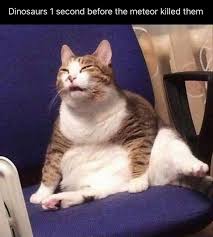 Find the newest dinosaurs show meme. Memebase Extinction All Your Memes In Our Base Funny Memes Cheezburger