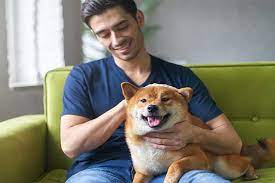 Fast, simple & secure process to get an emotional support animal letter you can trust What Is A Diabetic Alert Dog