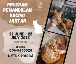 Klinik Haiwan Northpaw (Northpaw Animal Clinic)
