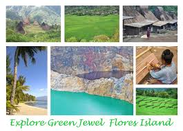 In flores island christian peter has dedicated himself to serve them since 2008. Flores Island Indonesia About The Island
