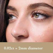 Forward Helix Conch Lobes Tragus Rook Faux Rook Helix Piercings Piercing Rook Piercing