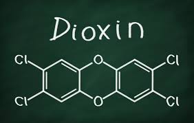 Im september 2004 erlitt wiktor juschtschenko eine dioxinvergiftung, in deren verlauf sein gesicht entstellt und seine organe lebensgefährlich angegriffen wurden. Dioxin Heilpraxis